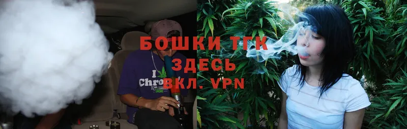 Бошки марихуана SATIVA & INDICA  как найти наркотики  Венёв 